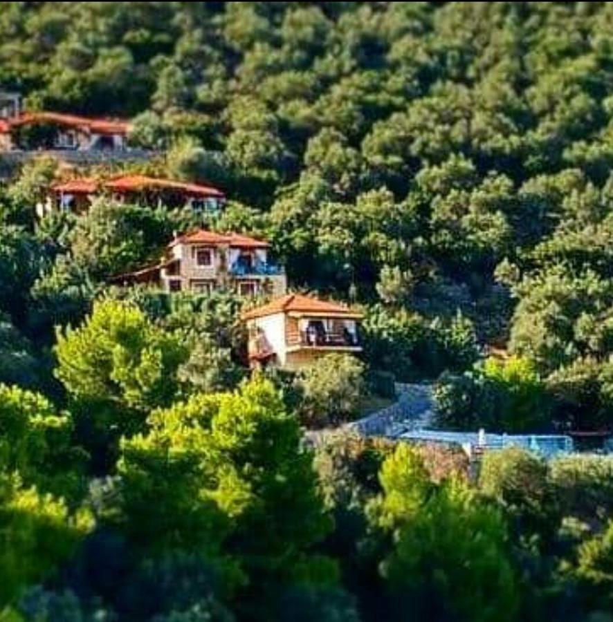 Skiathos Garden Cottages Екстер'єр фото